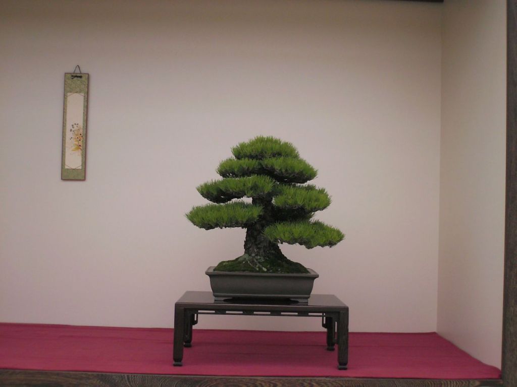 1374-PICT0164   